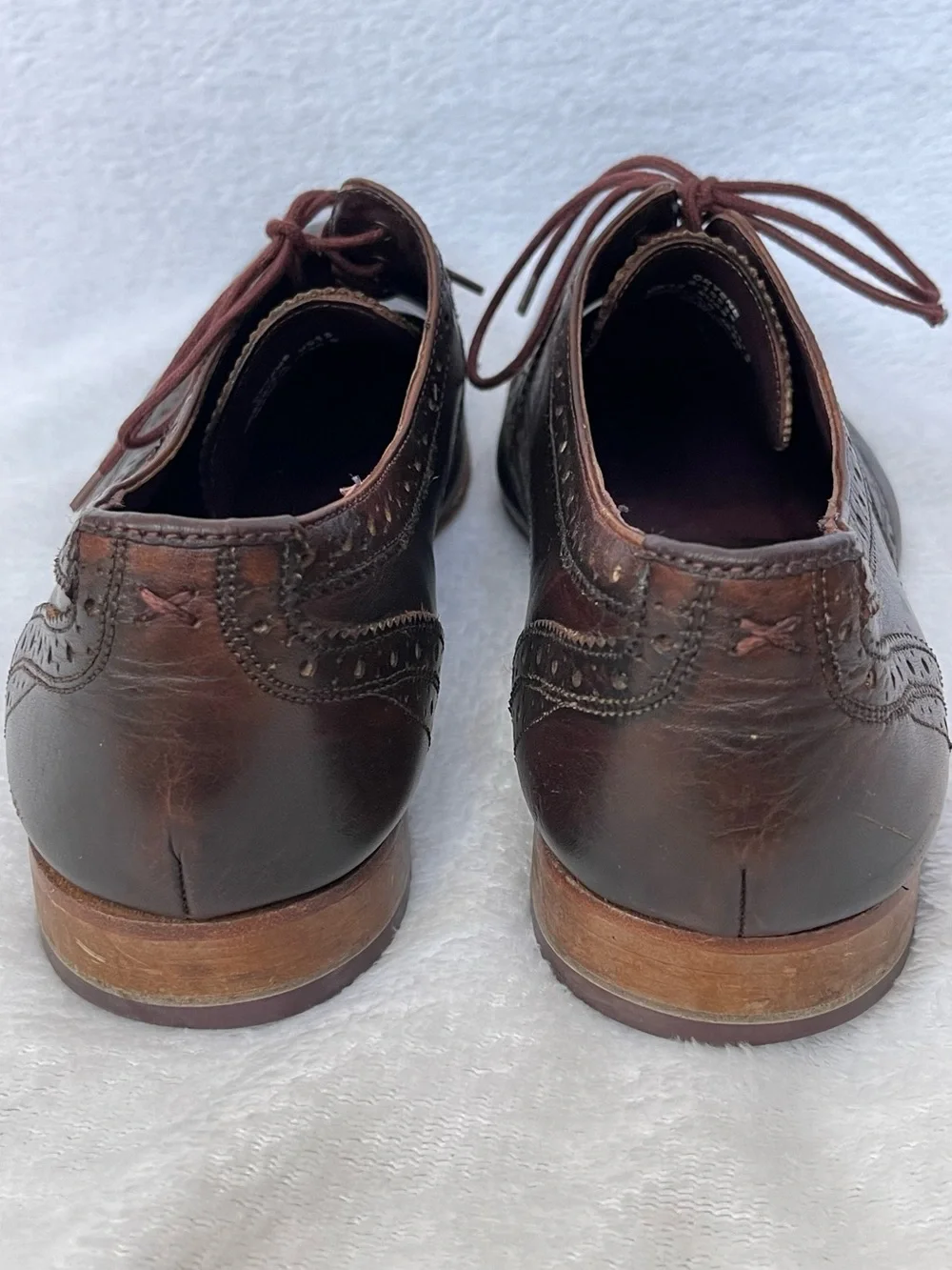 Ted Baker Gryene Derby Brown Wingtip Dress Shoes Business Classic Preppy Office